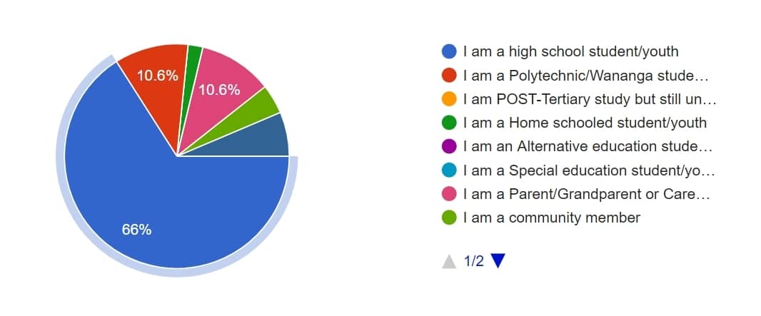 Te Puke Youth Survey