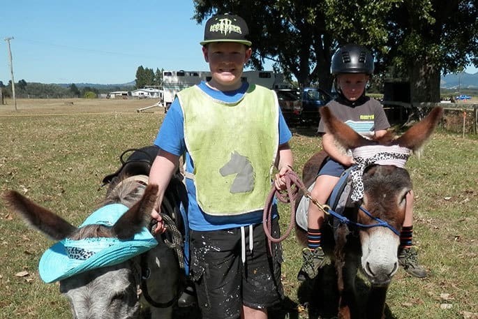 te puke a&p show 2018