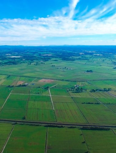 Te Puke region from a drone