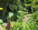 Food Forests Tauranga