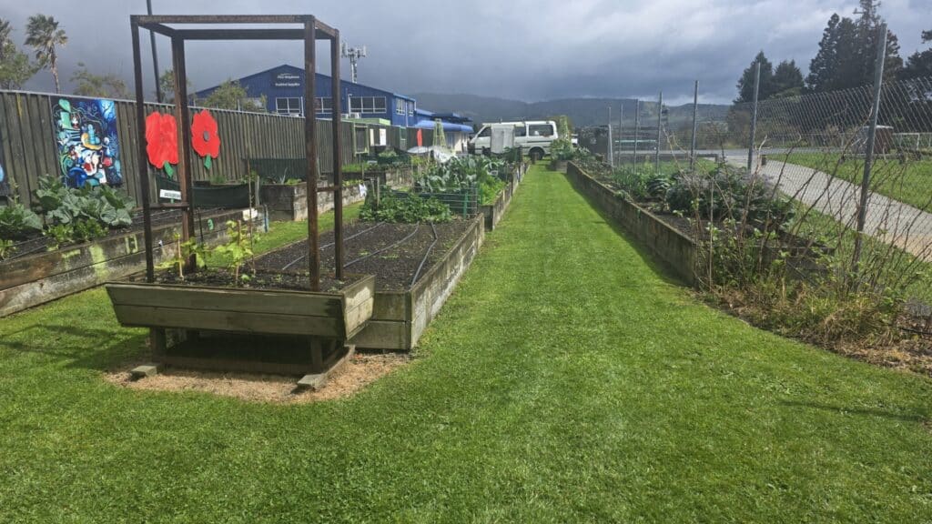 Going Green at the Te Puke Community Garden!