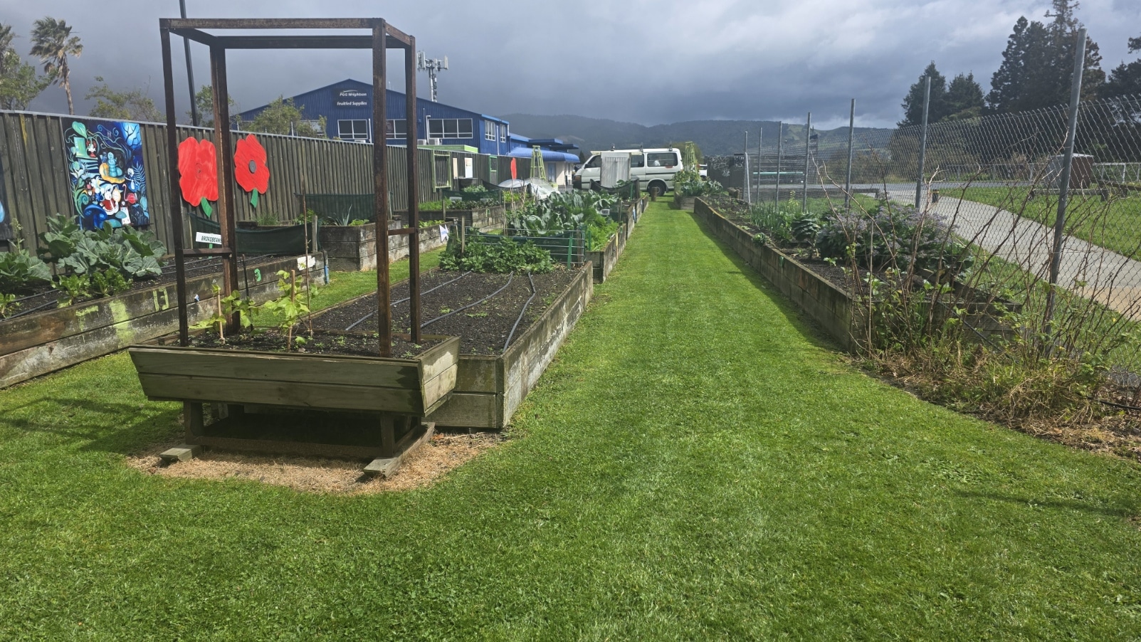 Going Green at the Te Puke Community Garden!