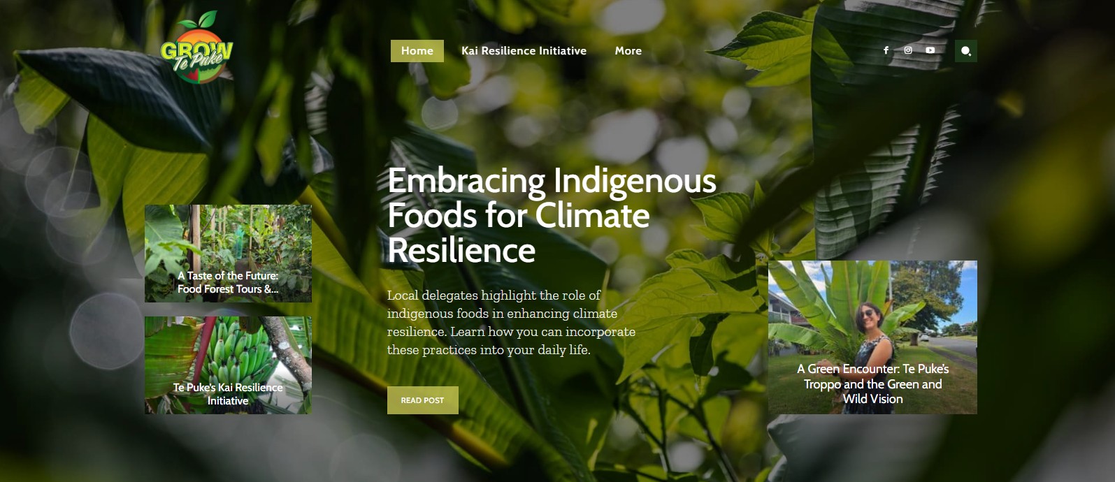 Grow Te Puke community growing
