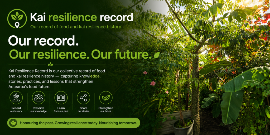Western Bay kai resilience record