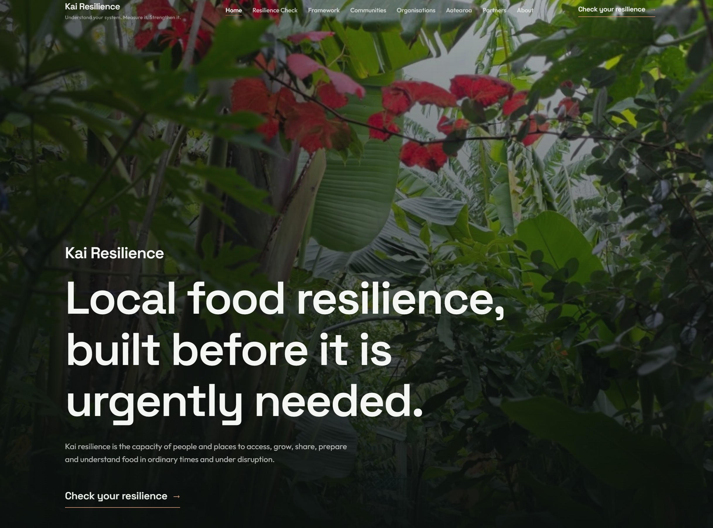 Vector Group Charitable Trust launches kairesilience.com — free Resilience Check and international framework to understand, measure and strengthen local food resilience.
