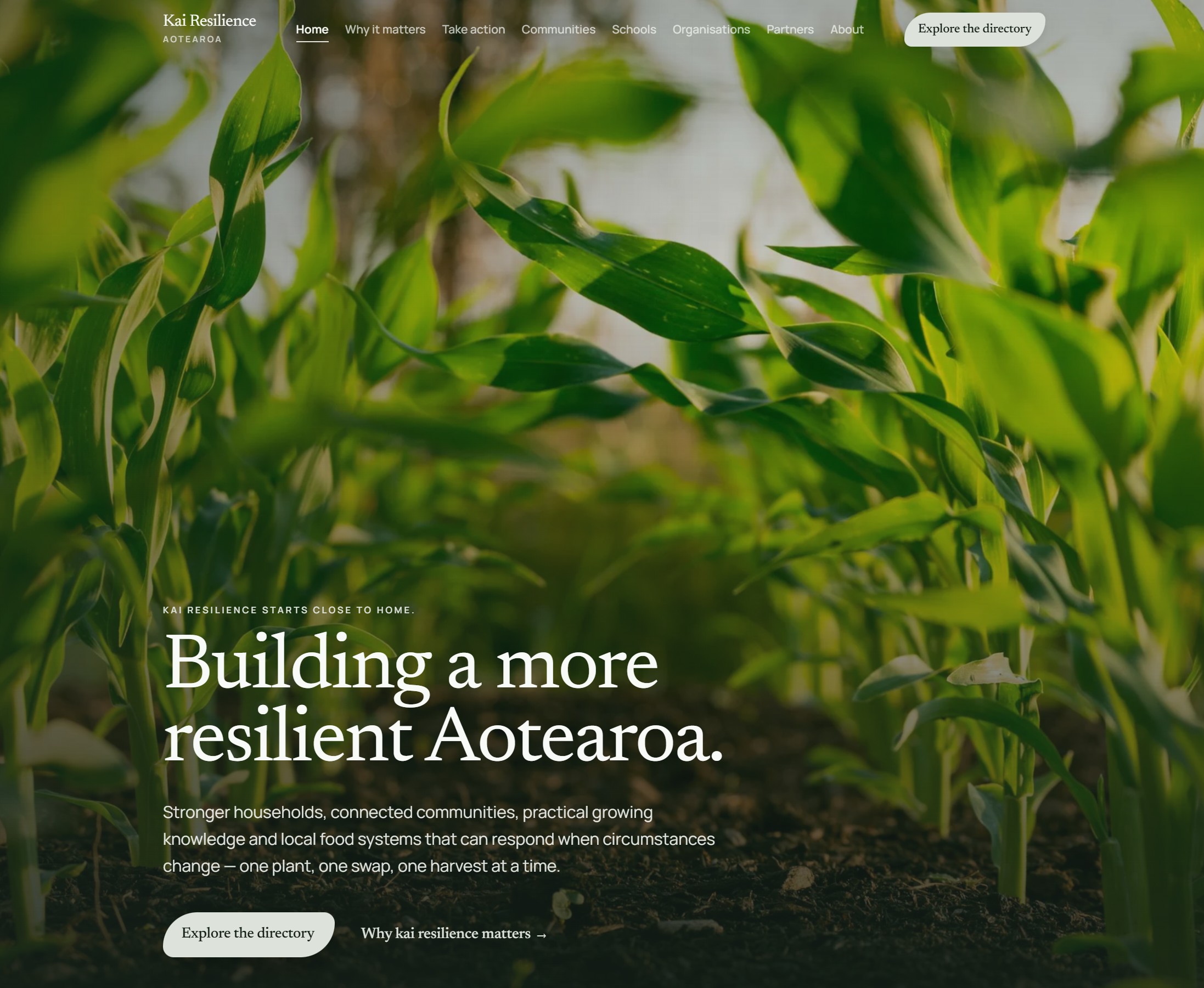 Kai Resilience Aotearoa: a movement home for stronger local food systems